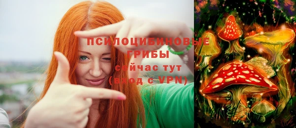 эйфоретик Кулебаки