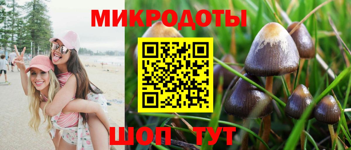 Галлюциногенные грибы ЛСД  Псилоцибиновые грибы мицелий  Ливны  Вход с VPN 