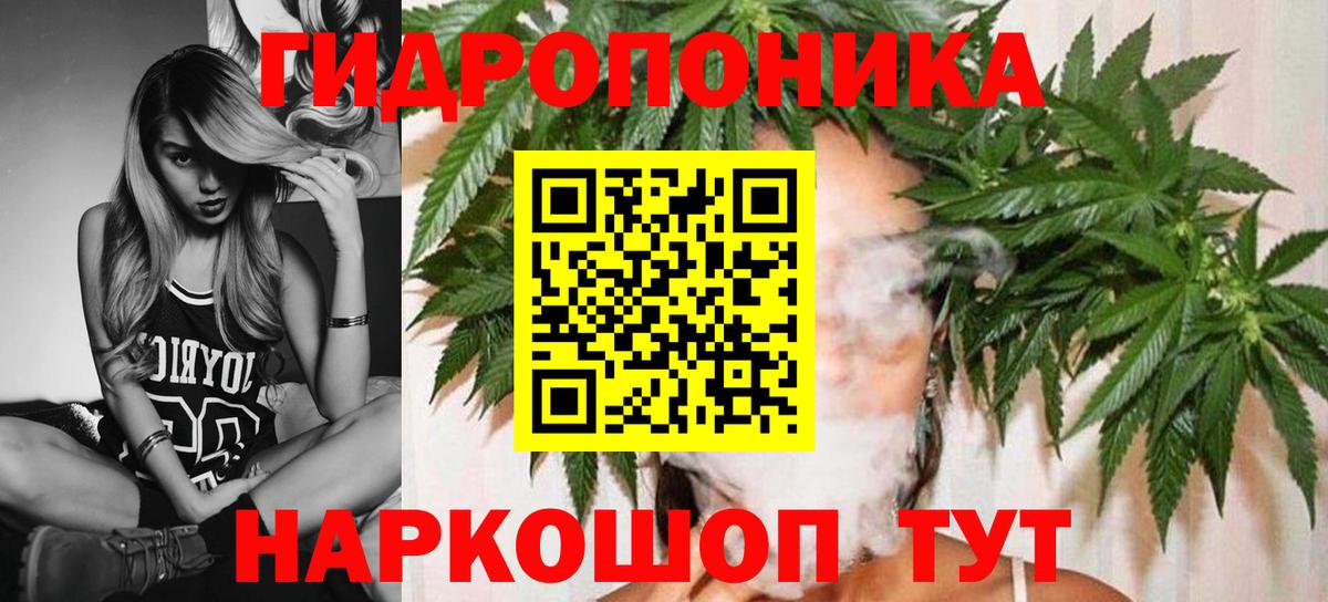 Бошки Шишки планчик Ливны